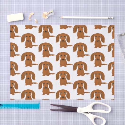 Longhaire Red Dachshund Pattern | Wiener Dogs Tissuepapier (Craft)