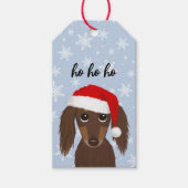 Longhaired Chocolate Dachshund Schattige Hondenker Cadeaulabel (Voorkant)
