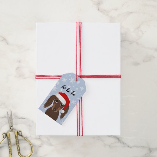 Longhaired Chocolate Dachshund Schattige Hondenker Cadeaulabel (Met Touw)