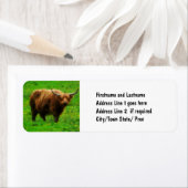 Longhaired LongHorn met Lange Horns Etiket (Insitu)