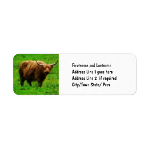 Longhaired LongHorn met Lange Horns Etiket