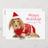 Longhaired tekkel die rode Kerstmis dragen Feestdagenkaart (Voorkant / Achterkant)