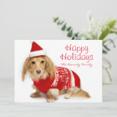 Longhaired tekkel die rode Kerstmis dragen Feestdagenkaart (Staand voorkant)