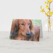 Longhaired Wenskaart van de Tekkel Kaart (Gele Bloem)