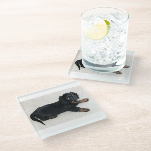 longhondshund-puppy glazen onderzetter (Schuin)