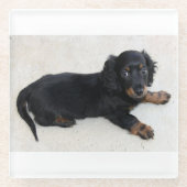 longhondshund-puppy glazen onderzetter (Voorkant)