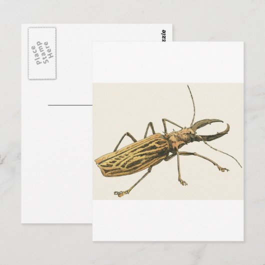 Longhorn Beetle Briefkaart (Voorkant / Achterkant)