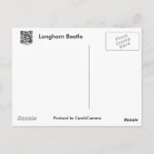 Longhorn Beetle Coördinerende punten Briefkaart (Achterkant)
