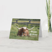 Longhorn Birthday Card Bedankkaart (Voorkant)