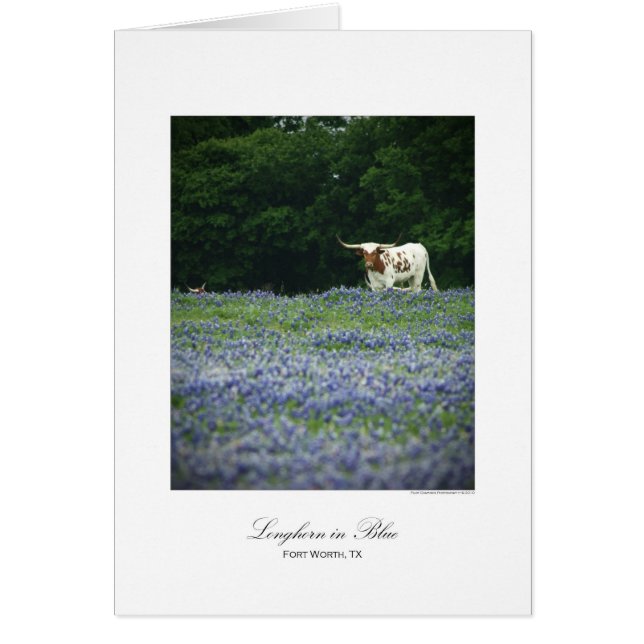 Longhorn blauw (Voorkant)