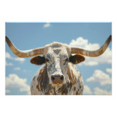 Longhorn Bull Foto Afdruk (Voorkant)