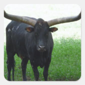 Longhorn Bull Sticker (Voorkant)