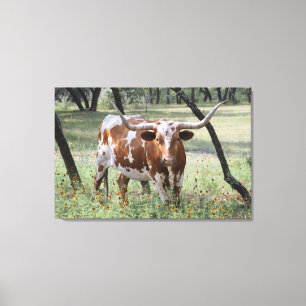 Longhorn Canvas Afdruk