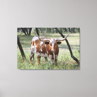 Longhorn Canvas Afdruk