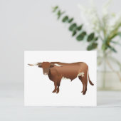 Longhorn Cattle Briefkaart (Staand voorkant)