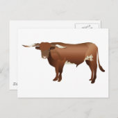 Longhorn Cattle Briefkaart (Voorkant / Achterkant)