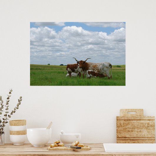 Longhorn Cattle in Kansas Poster (Keuken)