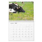 Longhorn Cattle Photography Calendar Kalender (Jan 2027)