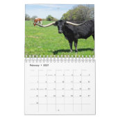 Longhorn Cattle Photography Calendar Kalender (Feb 2027)