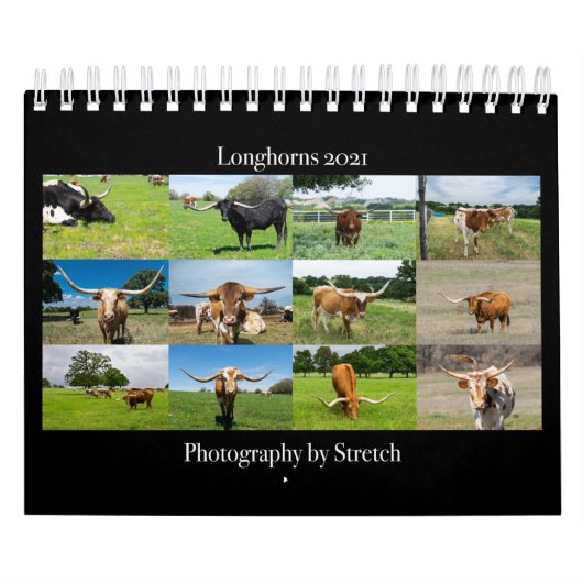 Longhorn Cattle Photography Calendar Kalender (Hoes)