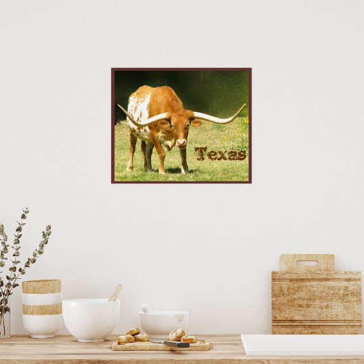 Longhorn Cattle Texas Poster (Keuken)