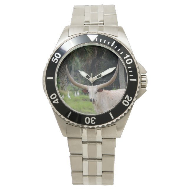 Longhorn cattle watch horloge (Voorkant)