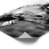 Longhorn dicht poster (Hoek)