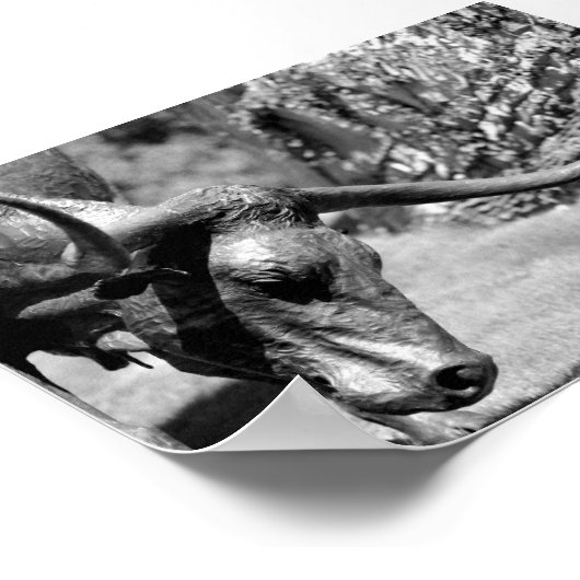 Longhorn Eating Poster (Hoek)