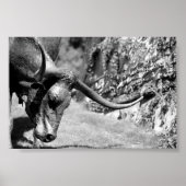 Longhorn Eating Poster (Voorkant)