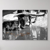 Longhorn en Goldfish Poster (Voorkant)