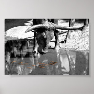 Longhorn en Goldfish Poster
