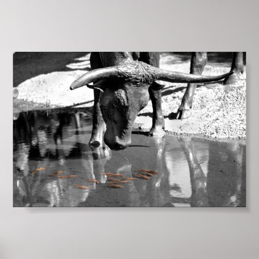 Longhorn en Goldfish Poster (Voorkant)