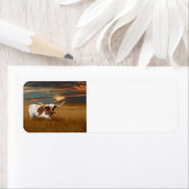 Longhorn Etiket (Insitu)