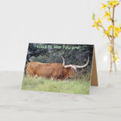 Longhorn-GW-pas aan Kaart (Gele Bloem)