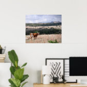 Longhorn in Wichita Mountains Wildlife Refuge Poster (Thuiskantoor)