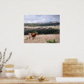Longhorn in Wichita Mountains Wildlife Refuge Poster (Keuken)