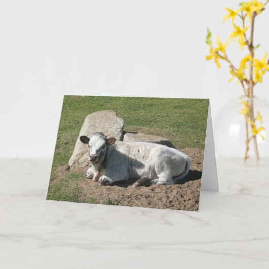 Longhorn Kalf Kaart - Blanco Notitiekaart (Gele Bloem)