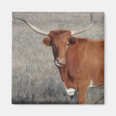 Longhorn Koe die haar neus aanslaat Magneet (Voorkant)