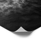 Longhorn Koe Fotografische Kunst Afdrukken Poster (Hoek)