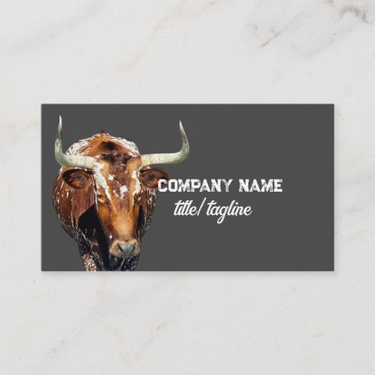 Longhorn koe Fotokunst houtskool grijs Visitekaartje (Voorkant)