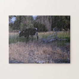 Longhorn Koe in het gras Legpuzzel