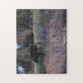 Longhorn Koe in het gras Legpuzzel (Verticaal)