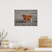 Longhorn Koe in pasta Poster (Keuken)