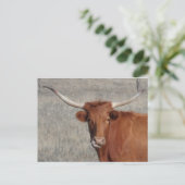 Longhorn Koe Lick Nose Briefkaart (Staand voorkant)