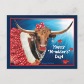 Longhorn Koe Moederdag Briefkaart (Voorkant)