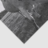 Longhorn Koe Zwart-wit Fotoprint Decoupage Tissuepapier (Detail)