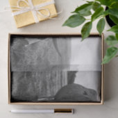 Longhorn Koe Zwart-wit Fotoprint Decoupage Tissuepapier (Geschenk)