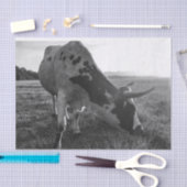 Longhorn Koe Zwart-wit Fotoprint Decoupage Tissuepapier (Craft)