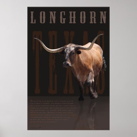 Longhorn Legacy Poster -40x60 - andere maten ook (Voorkant)