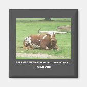 Longhorn Magnet (Voorkant)